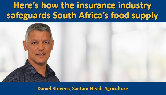 Here’s how the insurance industry safeguards South Africa’s food supply