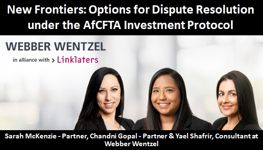 New Frontiers: Options for Dispute Resolution under the AfCFTA Investment Protocol