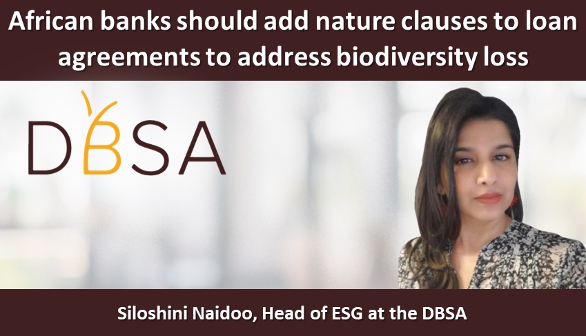 African banks should add nature clauses to loan agreements to address biodiversity loss