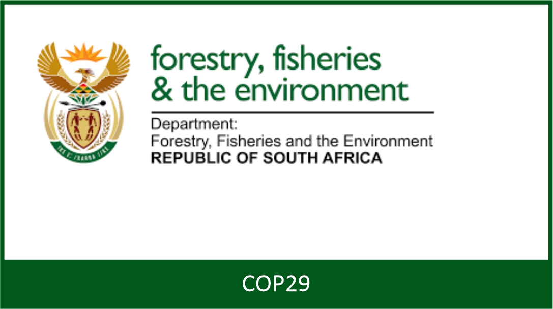 South Africa welcomes COP29 outcomes as a step in the right direction